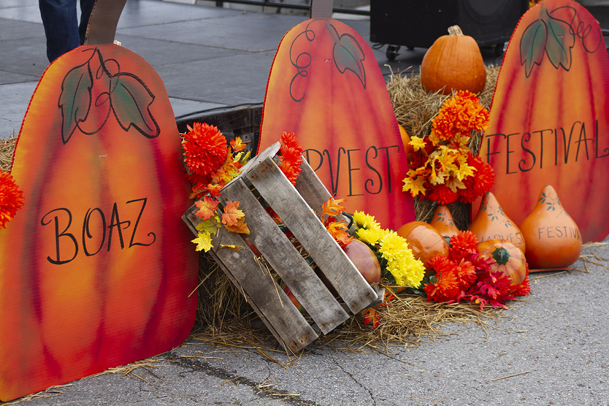 4 Reasons Why You Need to be at the Boaz Harvest Festival Marshall